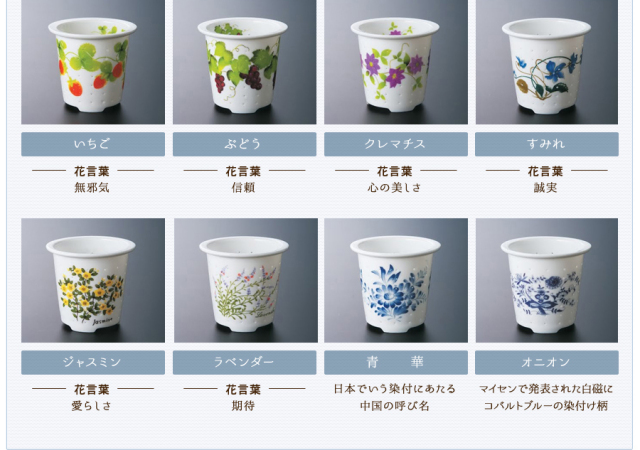 セランド茶こしバリーション2